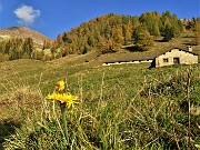 76 Sguardo indietro alla Baita Nuova (1759 m) e in alto il Valegino appena salito e sceso